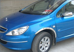 Car decorative seal